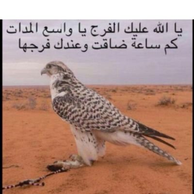 ‏ليتني لا كبرت ولابلغت العشر ،،، قامت الناس تزحف من سلامي سحى