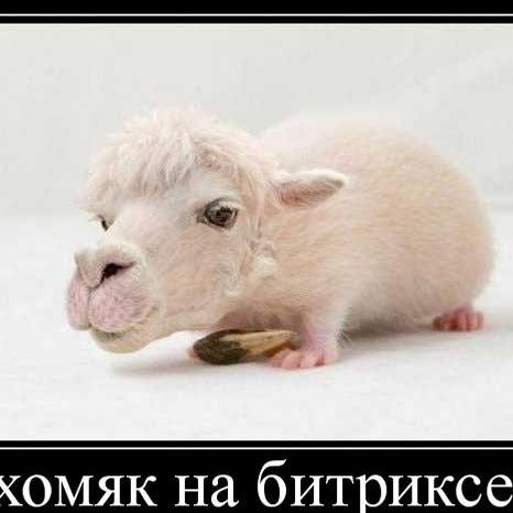 misterzym2's profile picture. 