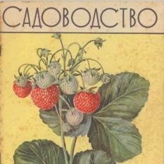 ulsad73's profile picture. Садоводство и землепользование. 🍅🍏🍉🍇 Пчеловодство 🐝🍯 Полезные Советы. Руководства. 💡 Интересные статьи 📰 Личный блог. 🌾🌼🌺🌻
