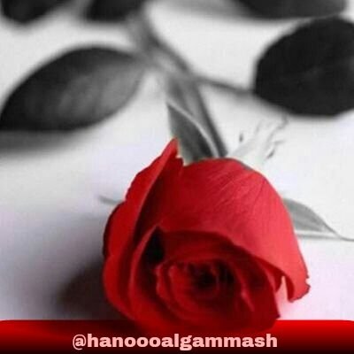 ‏‏‏‏‏‏‏‏ْ .. ‏‏‏；♡اللهمَّ ثبّتْ قَوليْ بـ لا إلهَ إلّا الله يومَ تُرفعُ الرّوحُ إِليكْ ..  مفضلتي صدقه جاريه لجميع موتئ المسلمين والمسلمات .. غرد ب الخير .