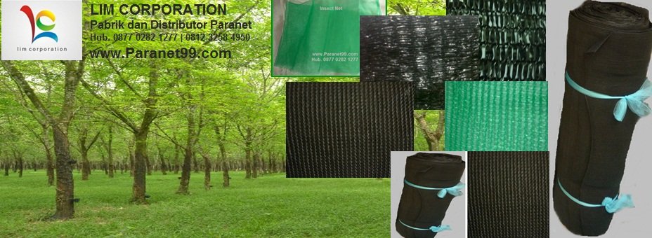 Paranet99's profile picture. Pabrik dan distributor paranet/shadingnet untuk peneduh tanaman. Hub. 087702821277 | 081232584950 | 085233925564 | 031-8830487. http://t.co/gzoKNe7QyS