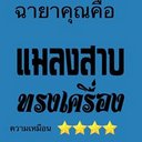 มุ้งมิ้ง ฟรุ้งฟริ้ง (@00sangkom) Twitter