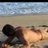 FerSexxxy's profile image