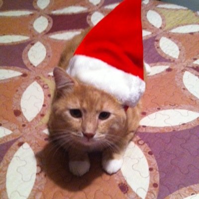 combines2785's profile picture. Stop whoring guys