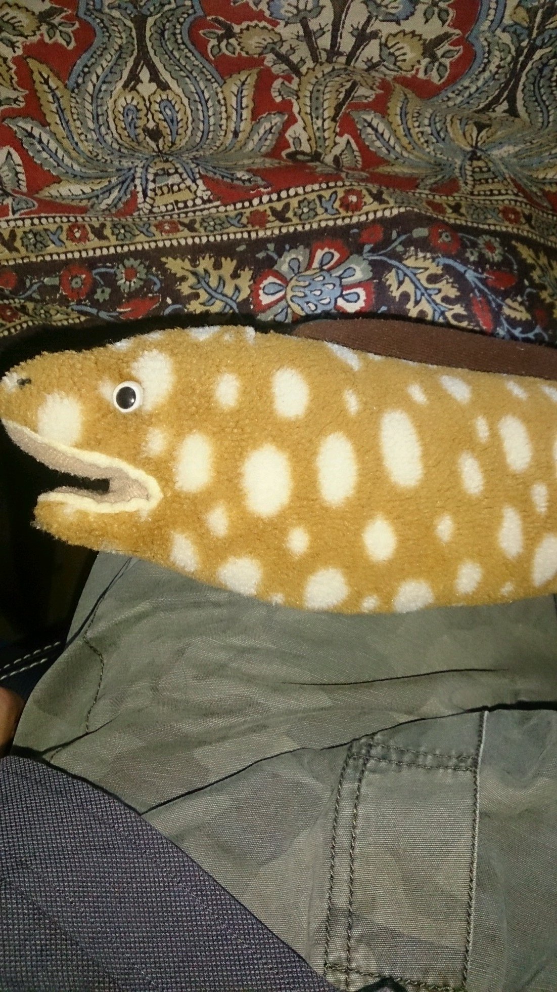 青木でーす