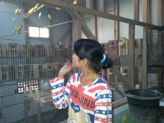 My name is Salihatul Hidayah Ttl;Muara Uya,7 Juni 1996 School SMKN 1 Muara Uya RPL(rekayasa perangkat lunak). . X RPL 1, XI RPL 2