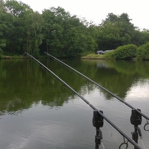 Alex_Timney's profile picture. 