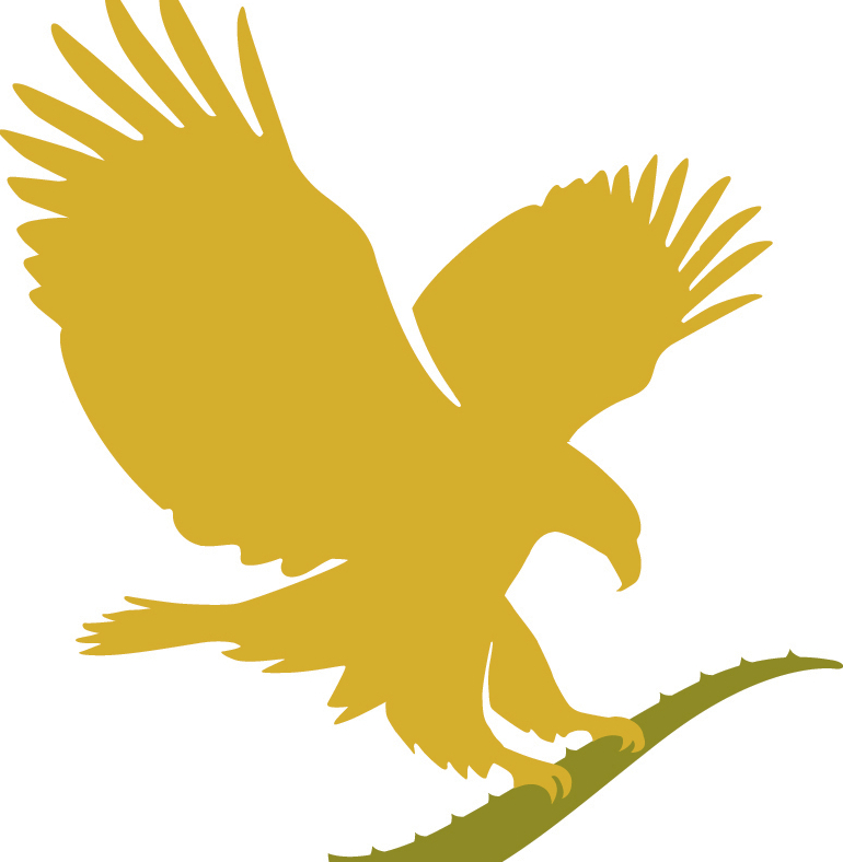 AlisonFLP's profile picture. Independent Distributor of Forever Living Products. Passionate about business, helping others find financial empowerment, Aloe Vera products and health & beauty