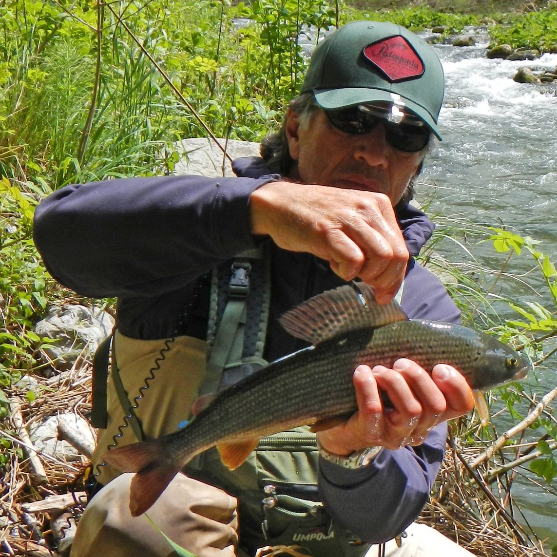 photoplp63's profile picture. nato a Brescia il 13 novembre 1963,photographer and fly fishing enthusiast