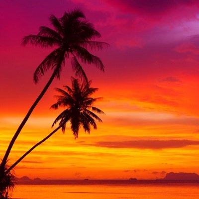 krasavella009's profile picture. 