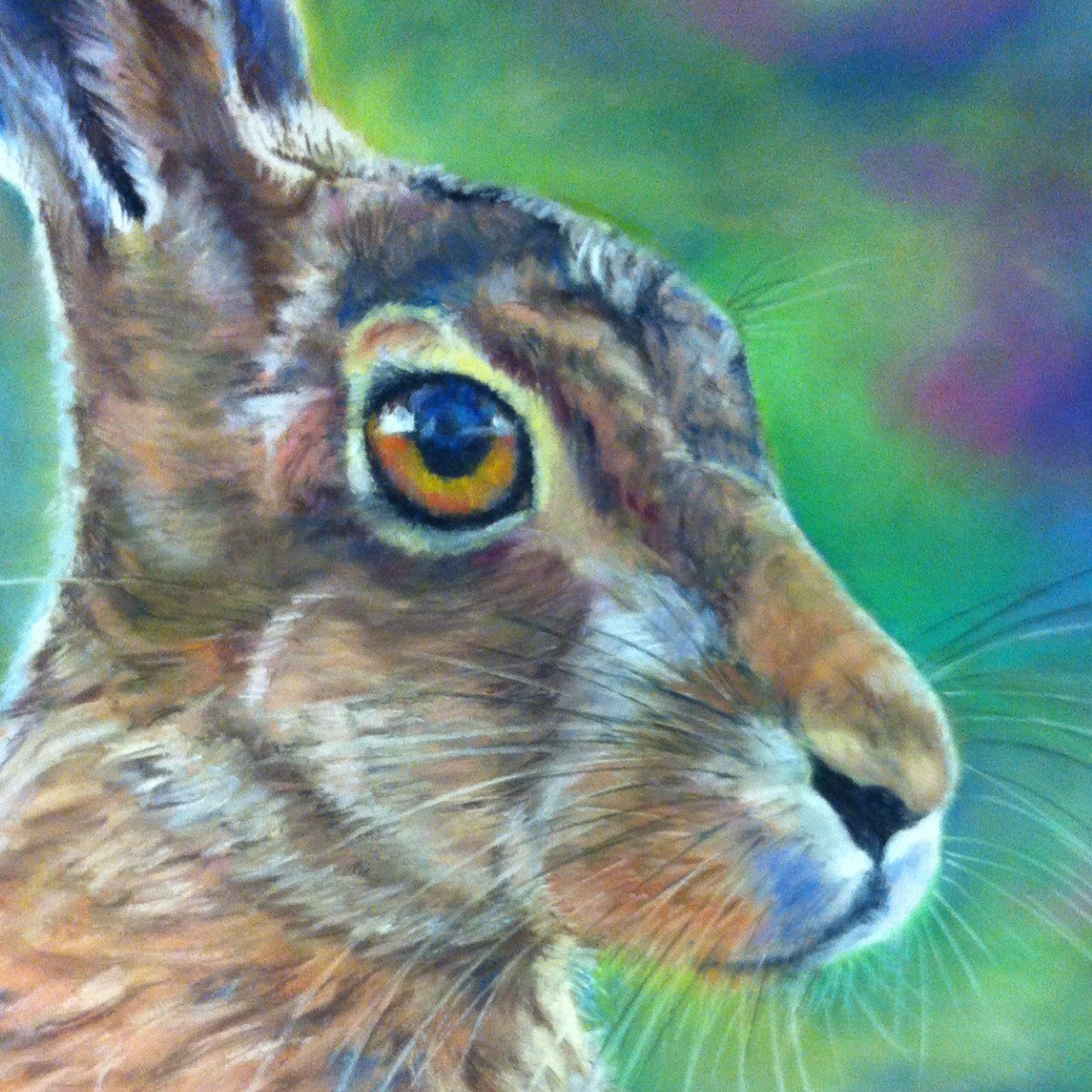 Animal portrait artist who offers commissions, demos, private tuition and workshops.