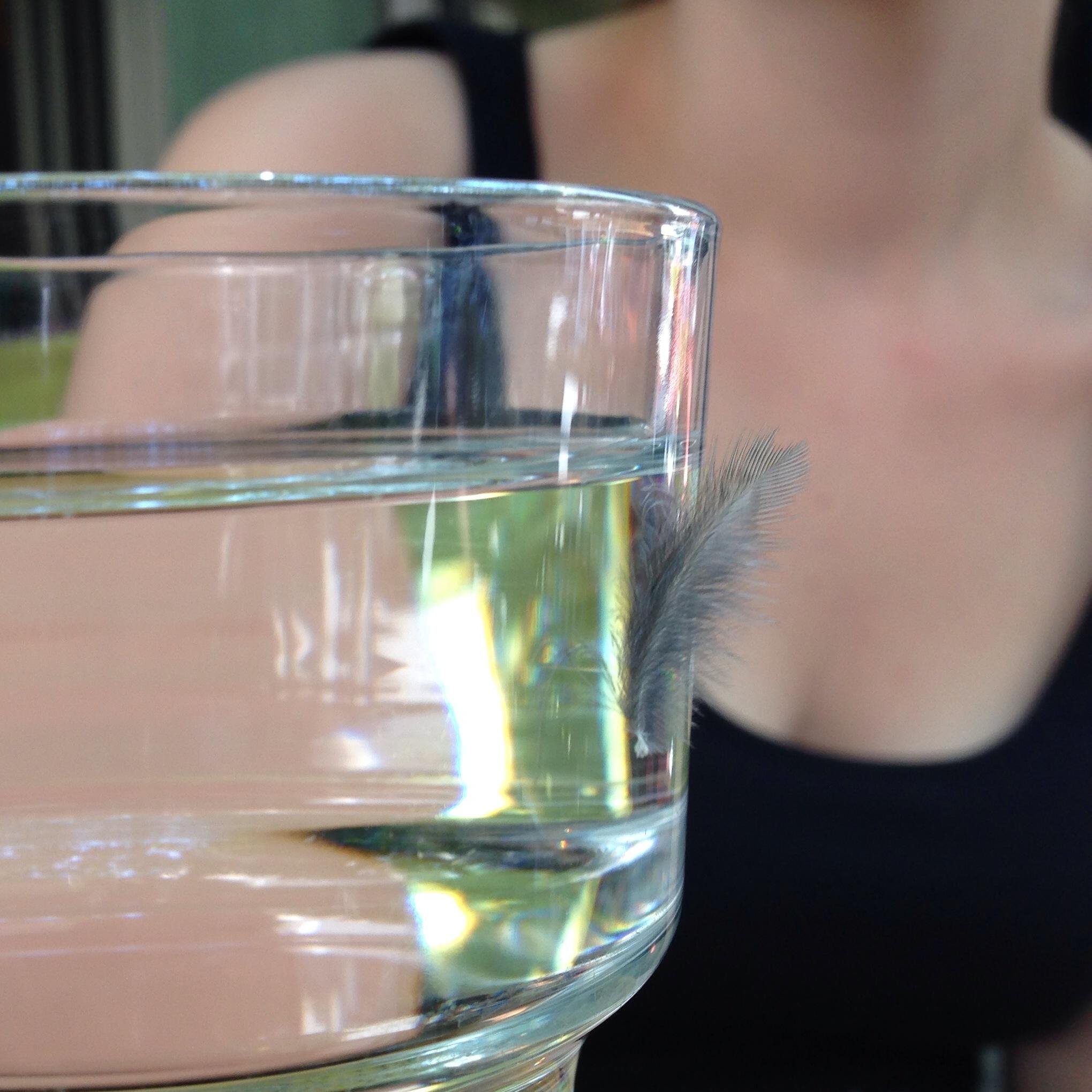 elisxxo's profile picture. Find out who you are and do it on purpose by Dolly Parton