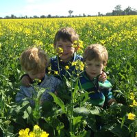 Adam somerville (@adamsomerville3) 's Twitter Profile