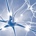 Systems Neuroscience (@csnleics) Twitter profile photo