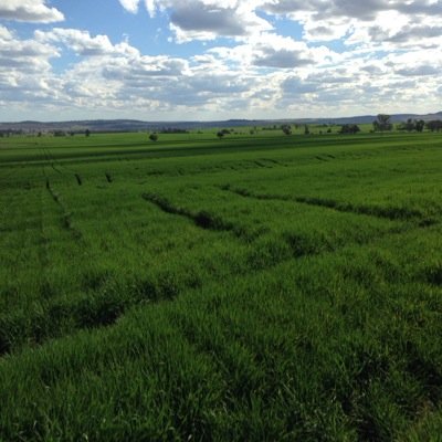 LeighNorton_4Ag's profile picture. 