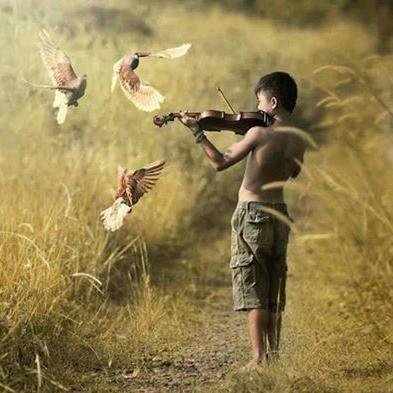 navaahang1's profile picture. 