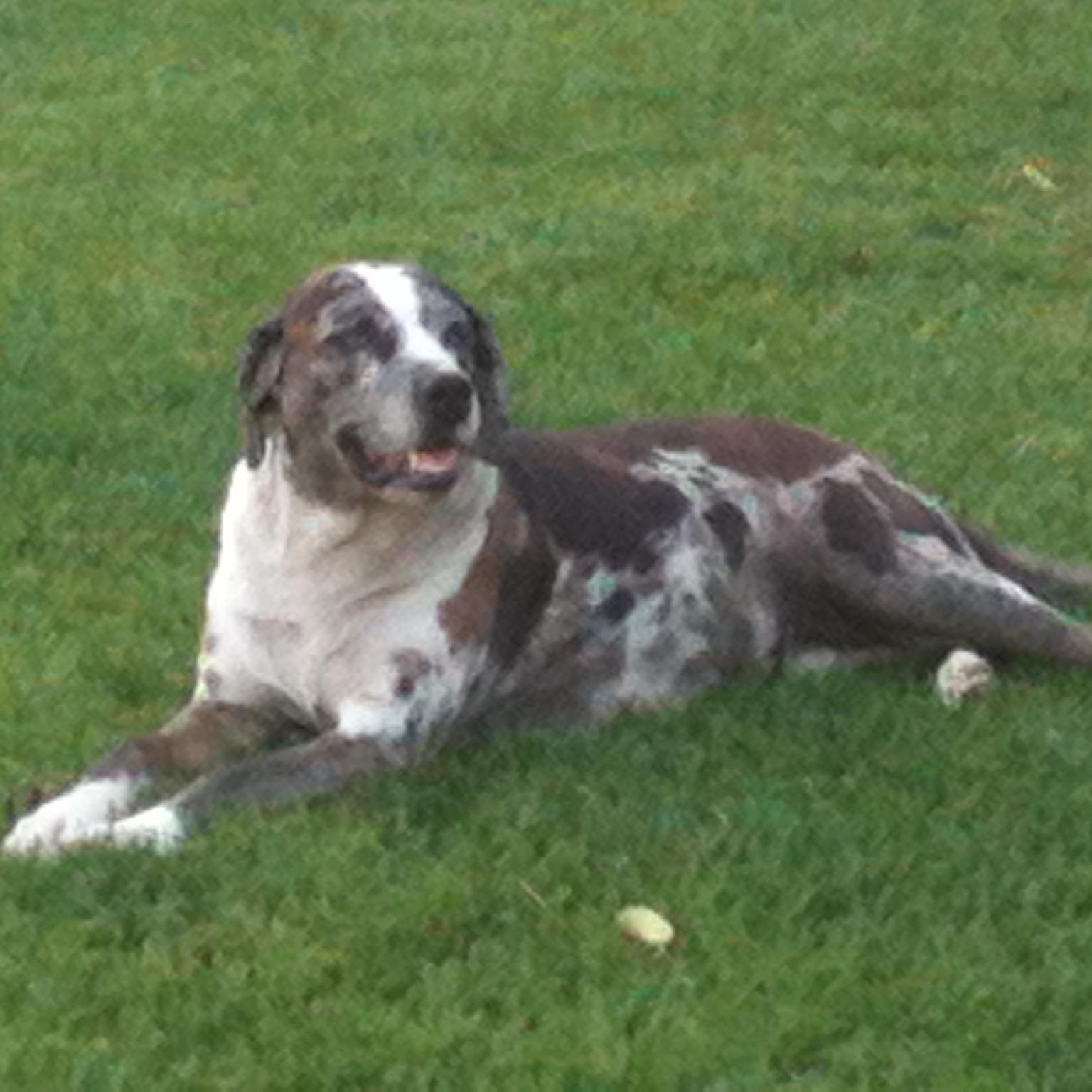 antel1398's profile picture. 