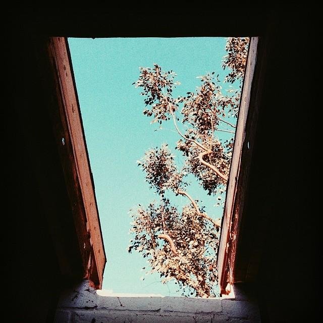 OhSoQuietMusic's profile picture. 