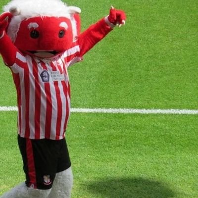 Official mascot to Lincoln City Football Club.