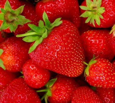 Mohikanson2023's profile picture. 