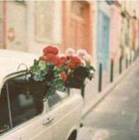 ‏‏بسيطہ لدرجہ اذا ششفت الہلال انبسط ♡