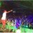 splitfestival's profile image