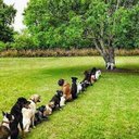 Moshe Daniel - @mosh_moshe - Twitter