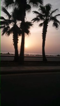 تبادل رتويت وعطني تم   ...‏‏إذا ماضفتك بلغني KSA