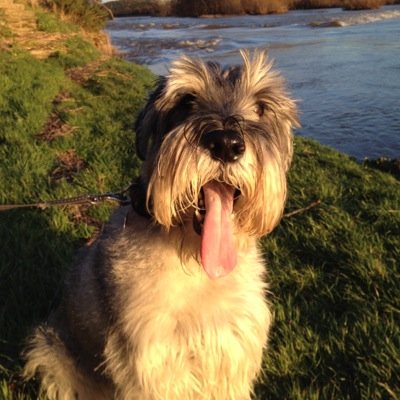 mrrichardcoyle's profile picture. It's not the despair. I can stand the despair. It's the hope.