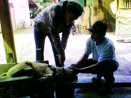 Wahyunurseto14's profile picture. 