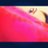 el_Trapo's profile image