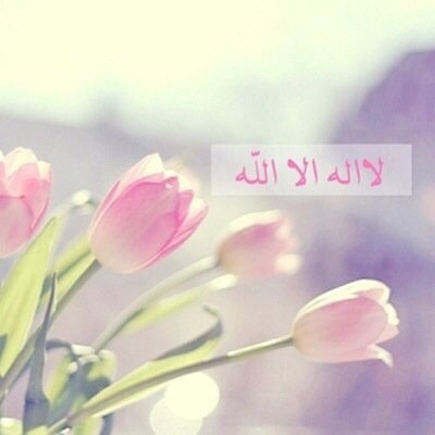 انا احب المملكه العربيه السعوديه اسال الله ان يحفظها ويحفظ شعبها وعلمائها وحكامها وان يصلحهم امين