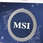 M.S.İ. İ