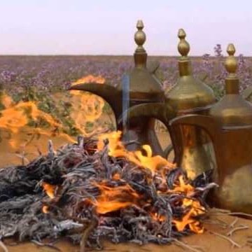 عمر التواضع ما دفن قيمة انسان 
وعمر التكبر ما عطى عمر ثاني