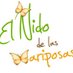 ENDLM (@nidomariposas) Twitter profile photo ENDLM (@nidomariposas) Twitter profile photo