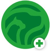 Professional Veterinary Care Performed to a High Standard - 01626 367972