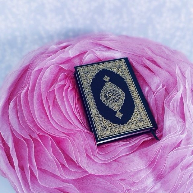. الأموات بحاجة للأحياء .