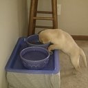 Betty Cameron - @CoachCameronHDV - Twitter