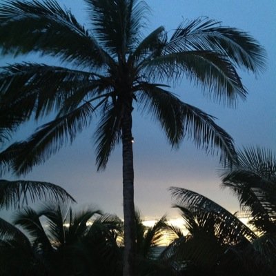 norisgab's profile picture. 