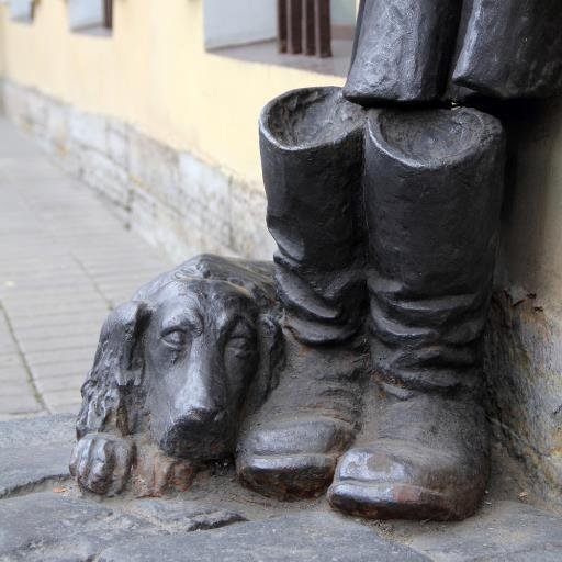 shawxx's profile picture. 