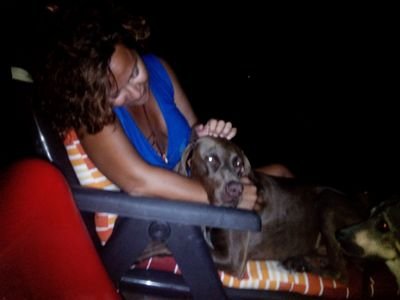 Mgarciaillan's profile picture. (Ab)negada.