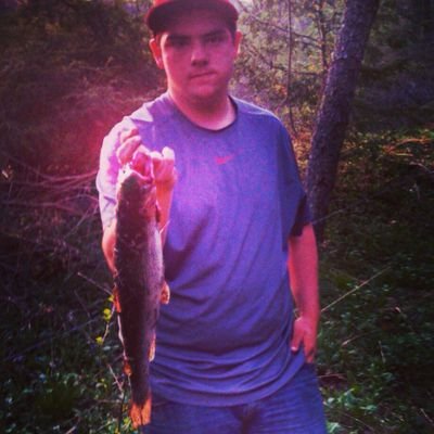 LukasDips's profile picture. my gt on xbox 360 is zeppzz