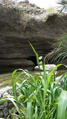 alhinai320's profile picture. 