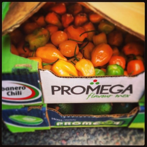 Best avocados in London town, chillies and exotic ingredients, all the way from Mexico! We bring them straight to your door!