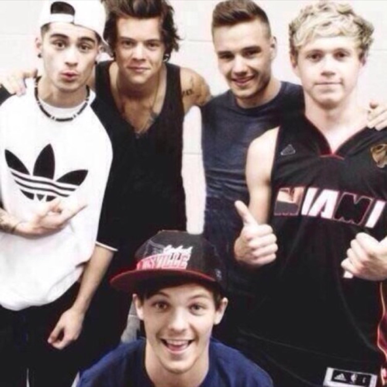 1DLover Concept