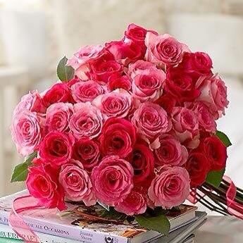 sudei2014's profile picture. 