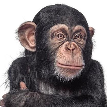 Un tipo de ser inhumano.