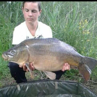 mike_megen's profile picture. 