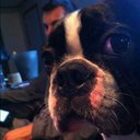 Jeremy Ralph - @JeremyRalph - Twitter