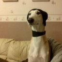 Steve Armstrong - @DaveSeamansTash - Twitter